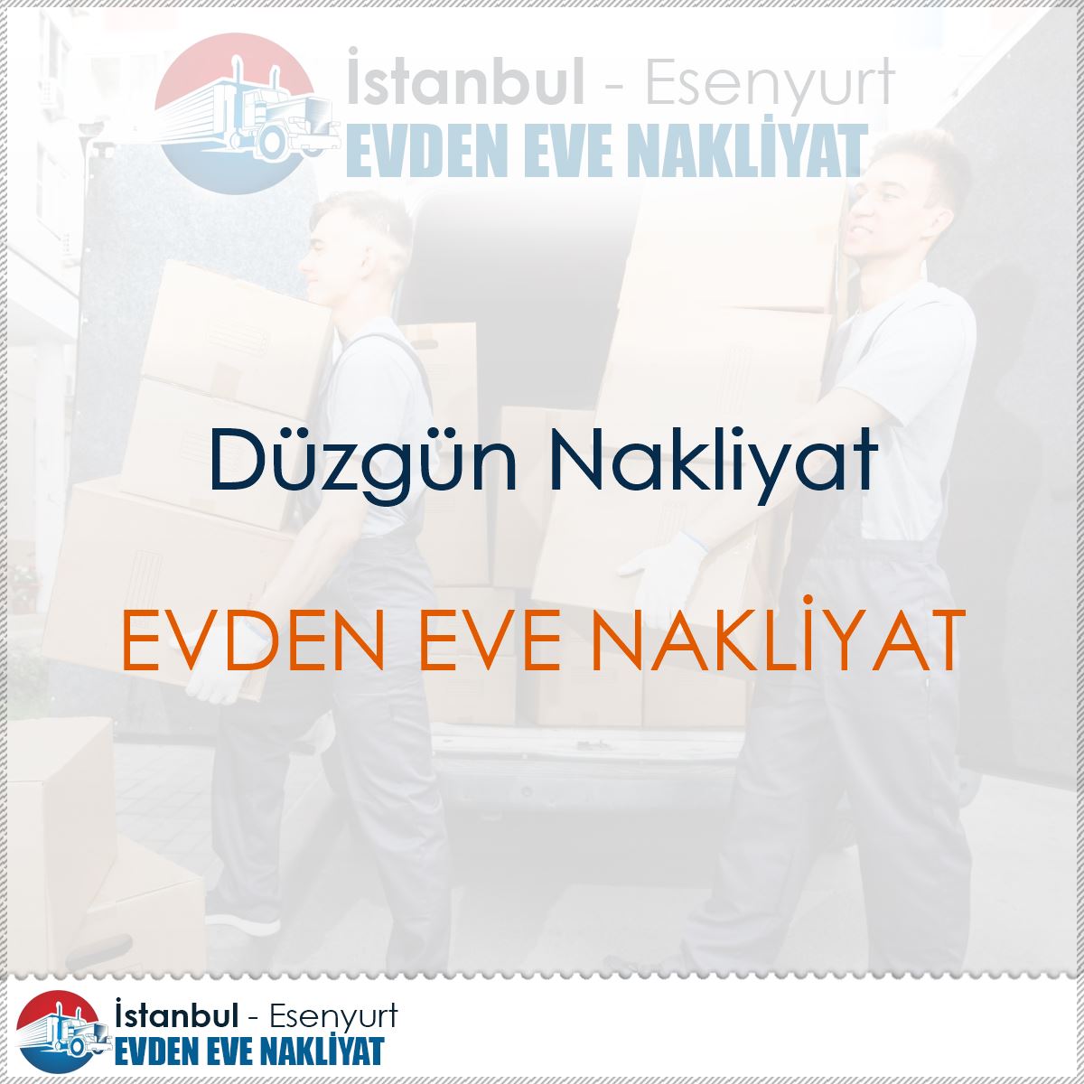 Düzgün Nakliyat logo